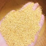  Hạt kê nếp Nghệ An túi 500gr 