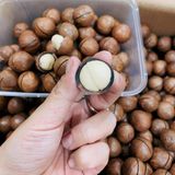  Hạt Macca Đắk Lắk Hộp 500gr 