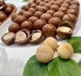  Hạt Macca Đắk Lắk Hộp 500gr 