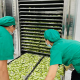  Trà bí xanh sấy lạnh hộp 100gr 