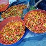  Tương ớt Mường Khương chai 250ml 