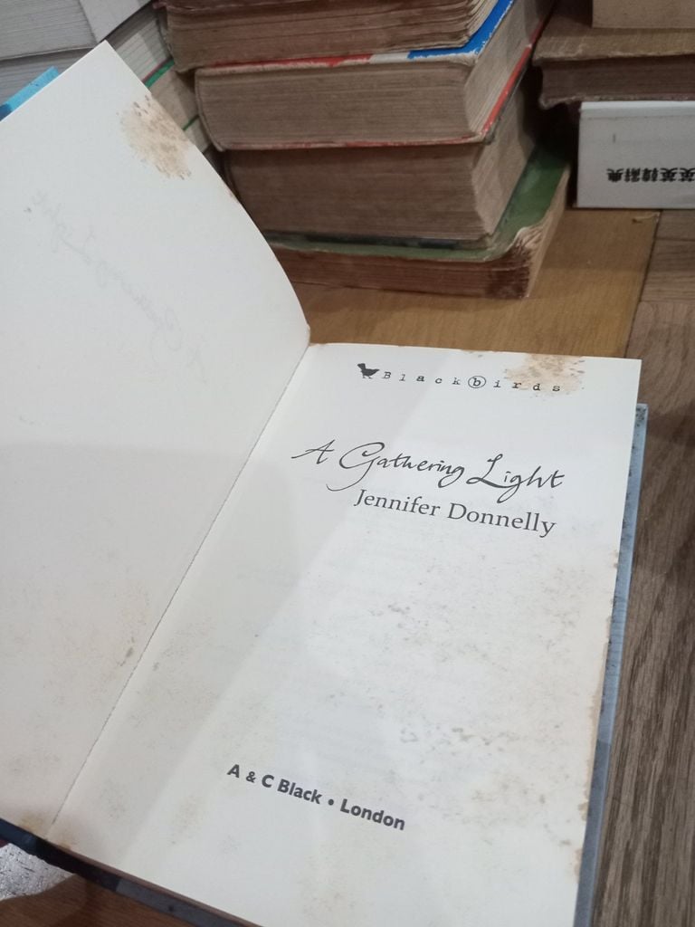  A Gathering Light - Jennifer Donnelly 