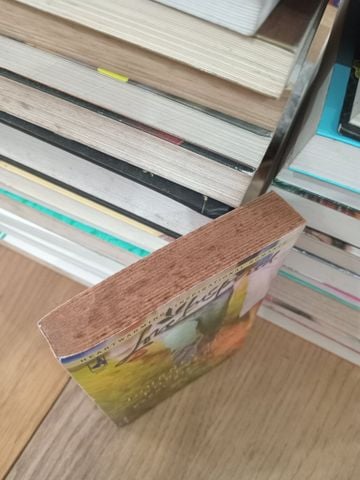  Journey to forever - Carol Steward 