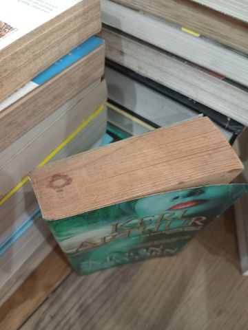  Moon sworn - Keri Arthur 