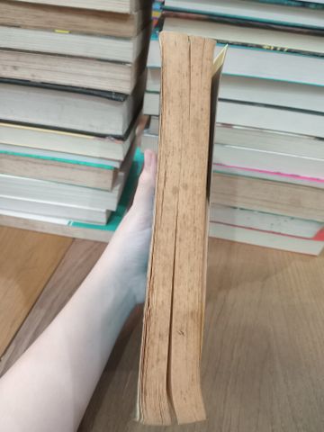  Wilt in Nowhere - Tom Sharpe 