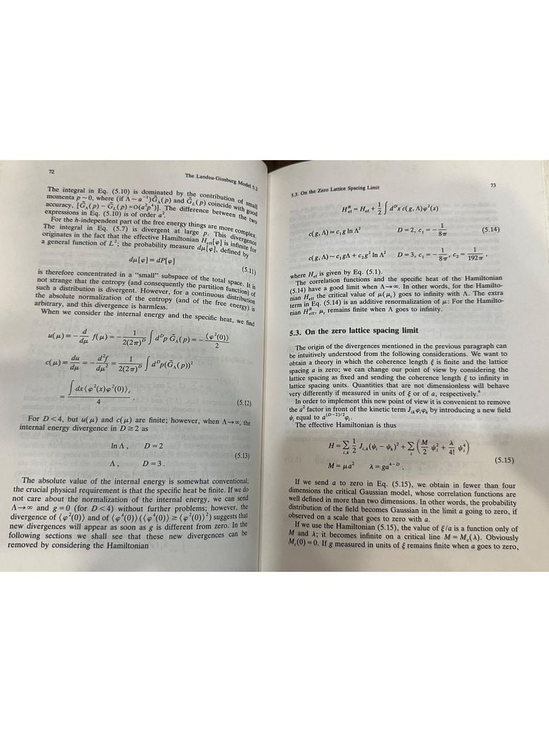 Statistical Field Theory - Giorgio Parisi 