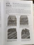  Bách khoa khoa học trẻ - Thục Anh (biên dịch) 