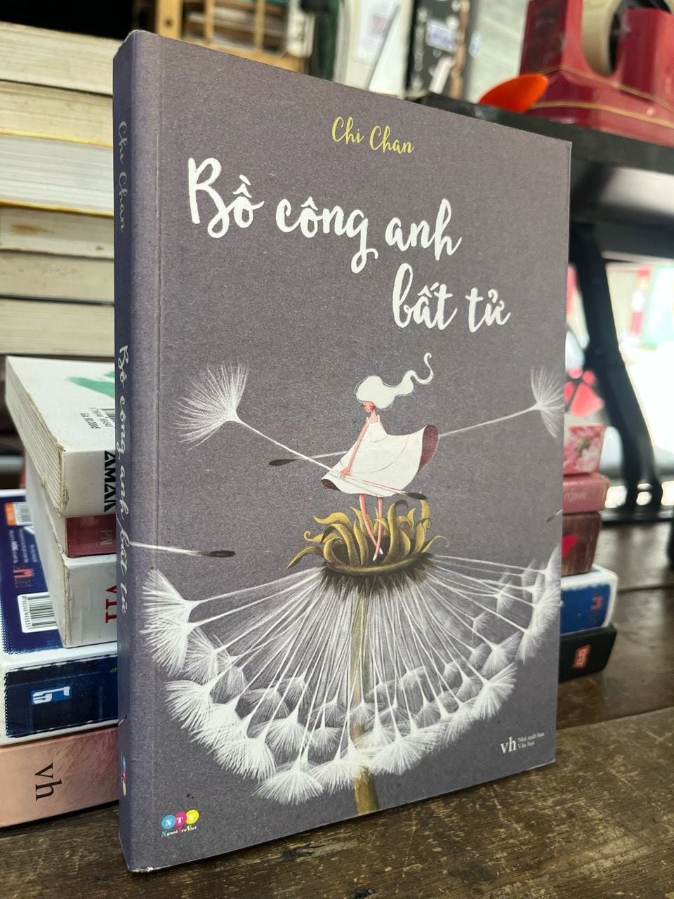  Bồ công anh bất tử - Chi Chan 