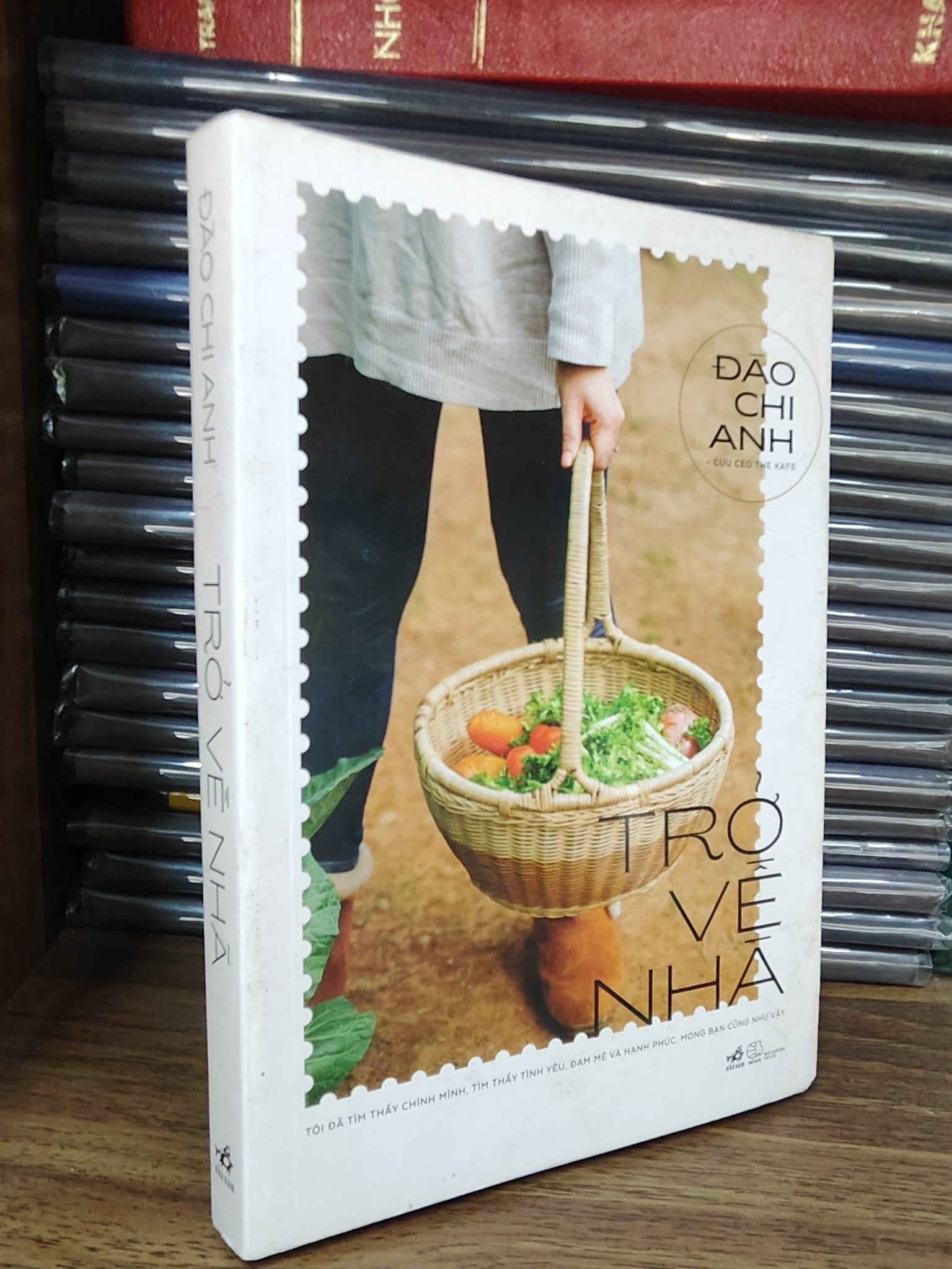  Trở về nhà - Đào Chi Anh 