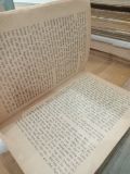  Kế hoạch anpha - Lê Chấn 
