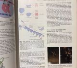  The nature of life - John H. Postlethwait & Janet L. hopson 