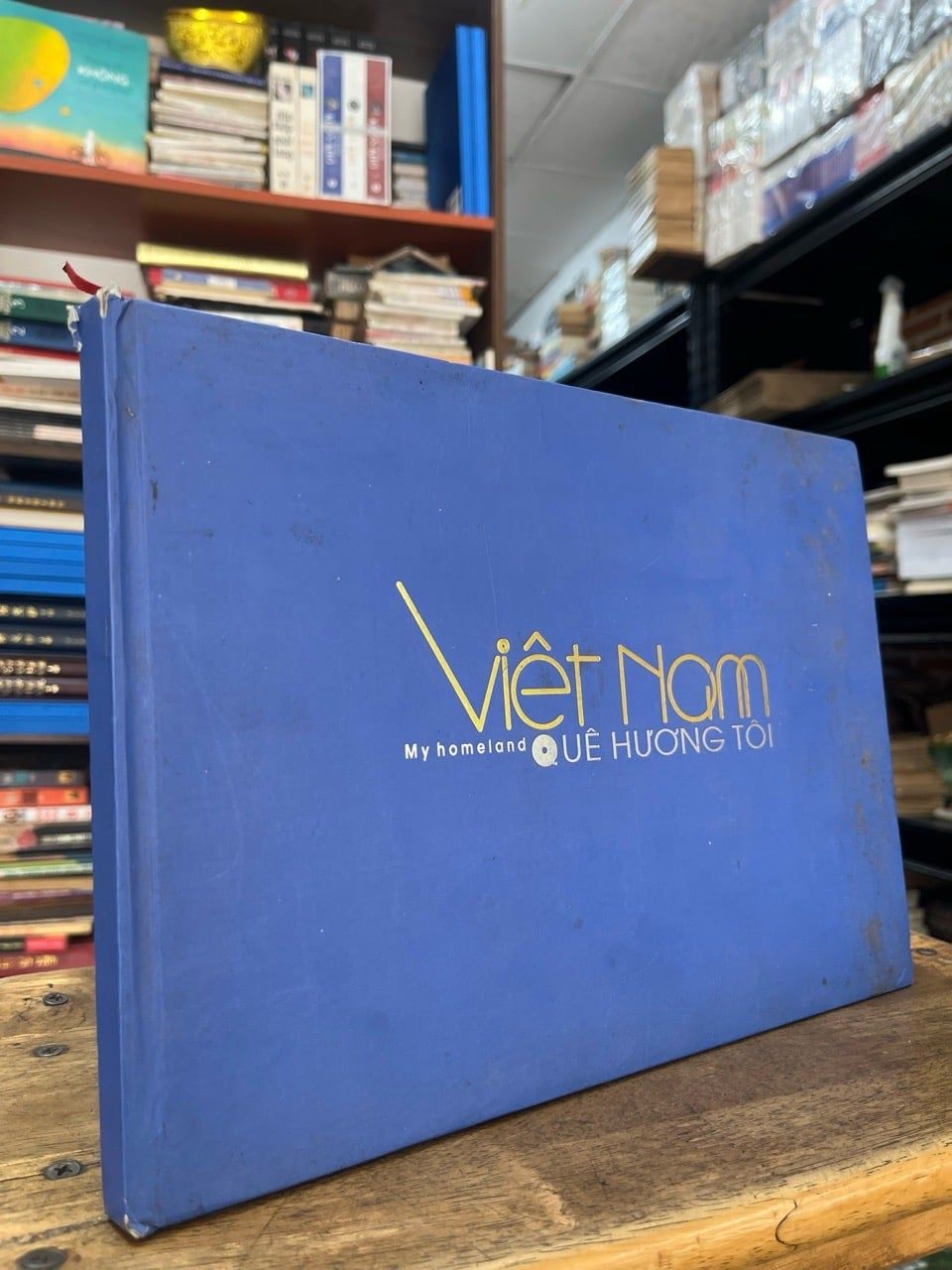  Việt Nam quê hương tôi 