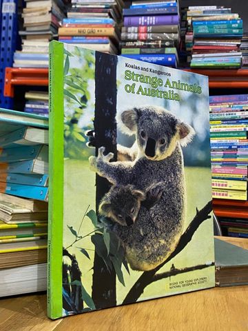  Strange Animals of Australia: Koalas and Kangaroos 