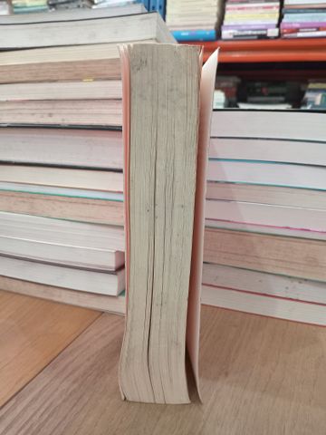  THE WIVES - LAUREN WEISBERGER 