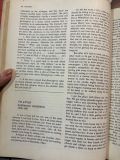  Interpreting Literature - Knickerbocker / Reninger 