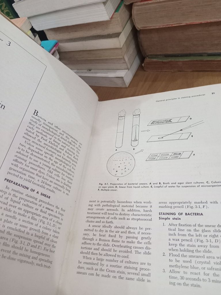  Diagnostic Microbiology - W. Robert Bailey, Elvyn G. Scott 