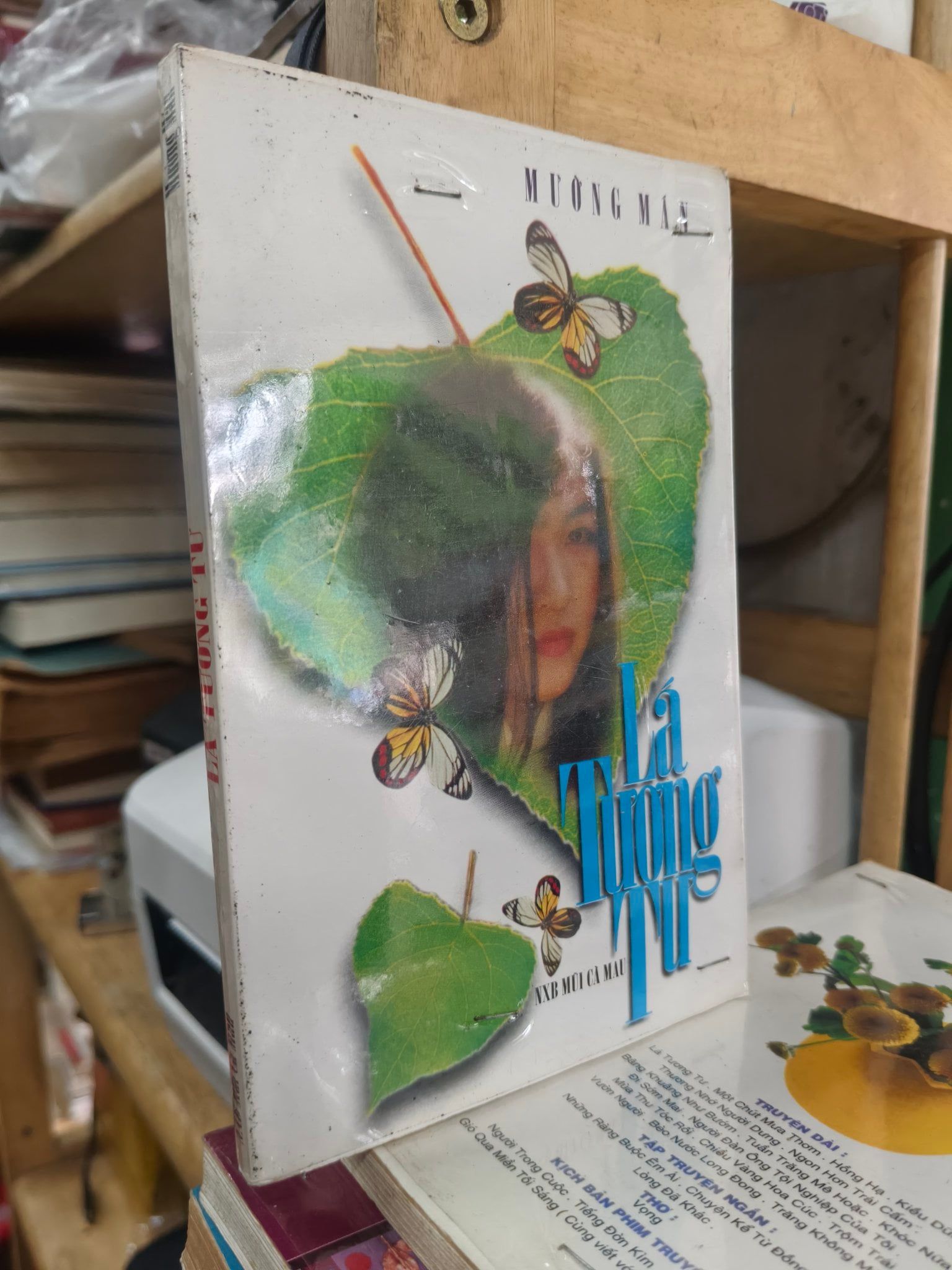  Lá Tương Tư - Mường Mán 