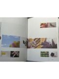  A Year Of Mornings - Maria Alexandra Vettese, Stephanie Congdon Barnes 