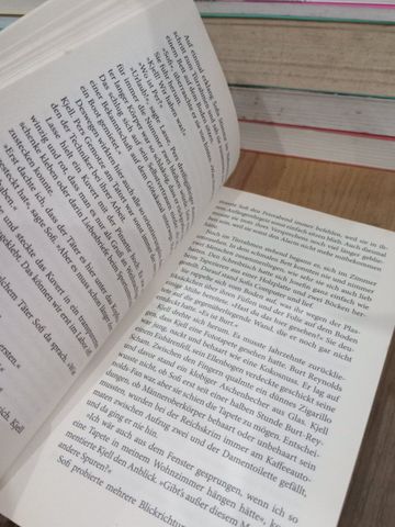 Die Falsche Tote - Daniel Scholten