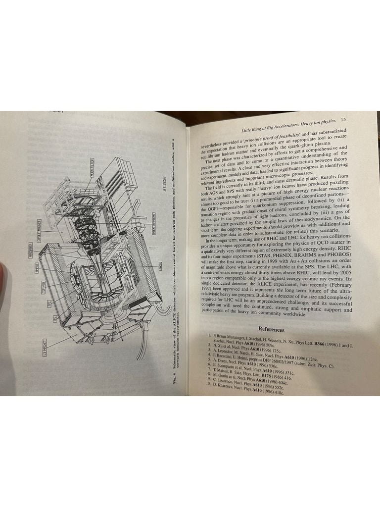  Physics And Astrophysics Of Quark Gluon Plasma 