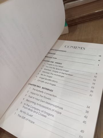  Of angels, butterflies, and clowns - Earnest L. Tan 