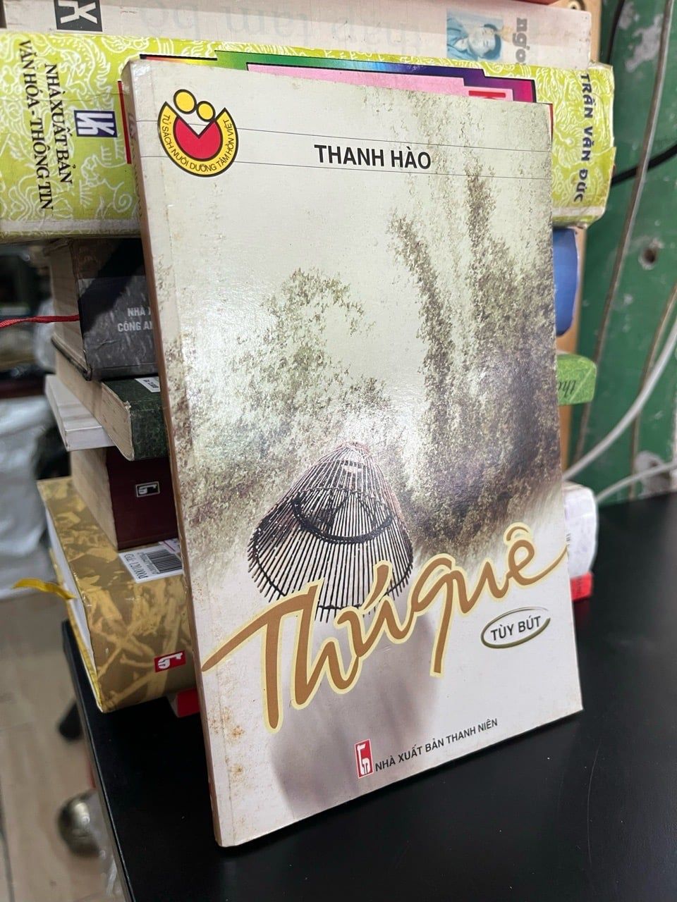  Thú quê - Thanh Hào 