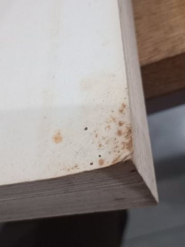  Review of Medical Microbiology - E. Jawetz, J. L. Melnick, E. A. Adelberg 