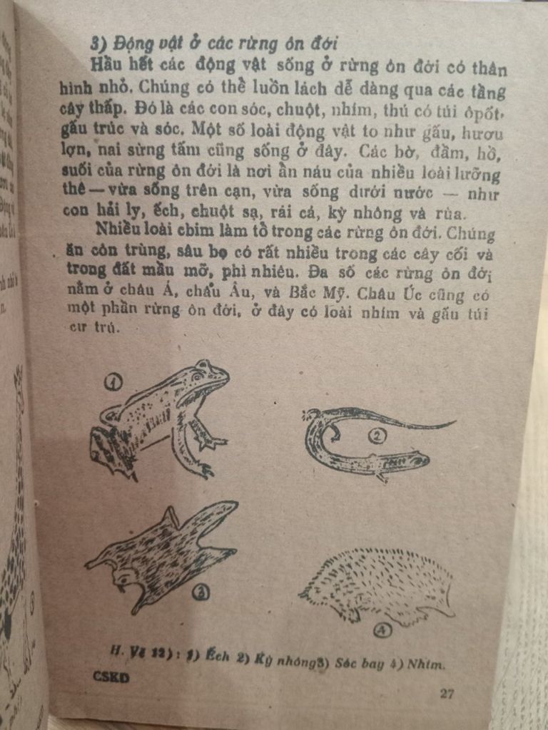  Cuộc Sống Kỳ Diệu của Muôn Loài 