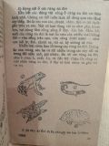  Cuộc Sống Kỳ Diệu của Muôn Loài 