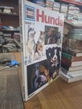 Hunde 