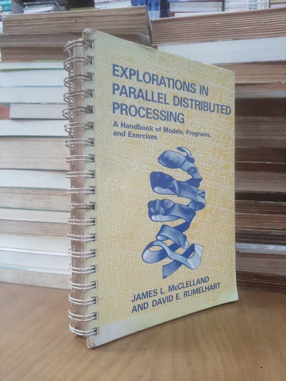  Explorations in Parallel Distributed Processing: a Handbook of Models, Programs, and Exercises - J. L. Mcclelland, D. E. Rumelhart 