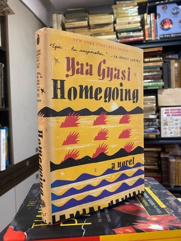  Homegoing - Yaa Gyasi 