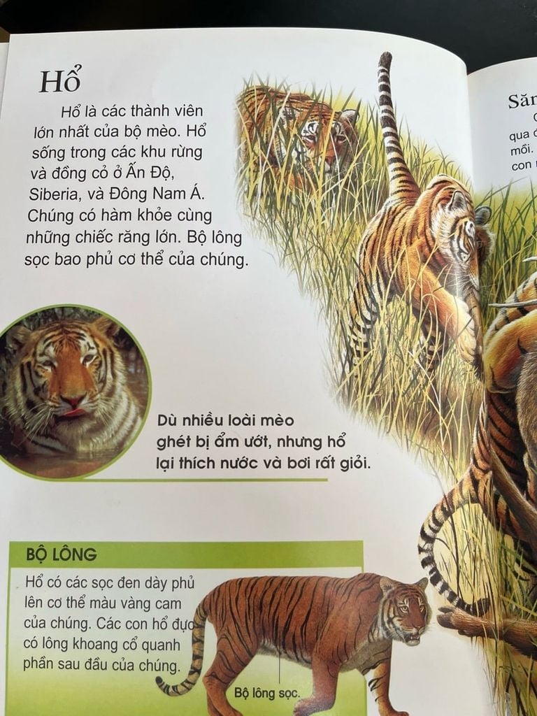  Thế Giới Động Vật - Những Điều Kỳ Thú 