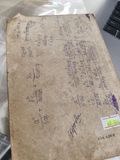  Danh ca của đất - Lâm Thị Mỹ Dạ 