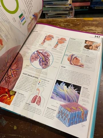 The Complete Human Body - Alice Roberts