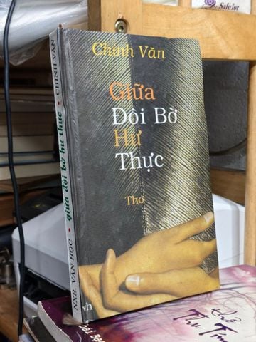 Giữa Đôi Bờ Hư Thực - Chinh Văn
