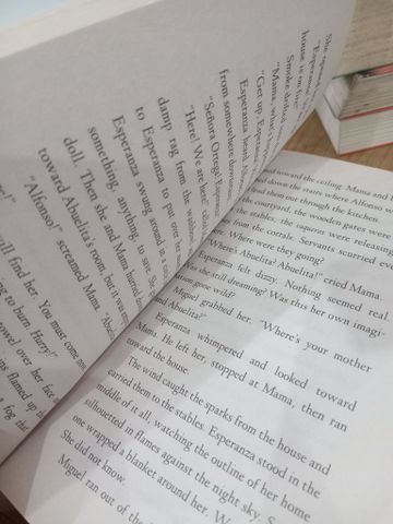  Esperanza Rising - Pam Munoz Ryan 