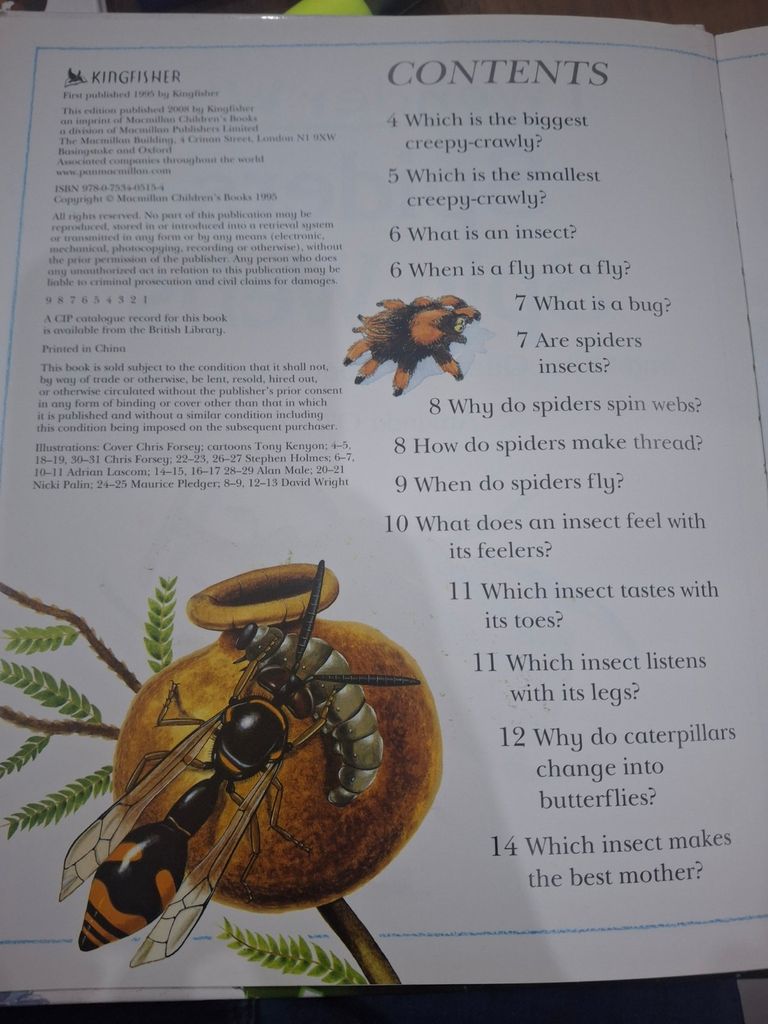  I Wonder Why Spiders Spin Webs And Other Questions About Creepy Crawlies - Amanda O'Neill 