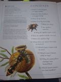  I Wonder Why Spiders Spin Webs And Other Questions About Creepy Crawlies - Amanda O'Neill 