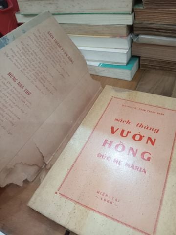  Sách tháng vườn hồng: Đức Mẹ Maria - Linh mục J.M. Phạm Thanh Nhân 