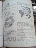  Thủ Công - Lê Xuân Thủy 
