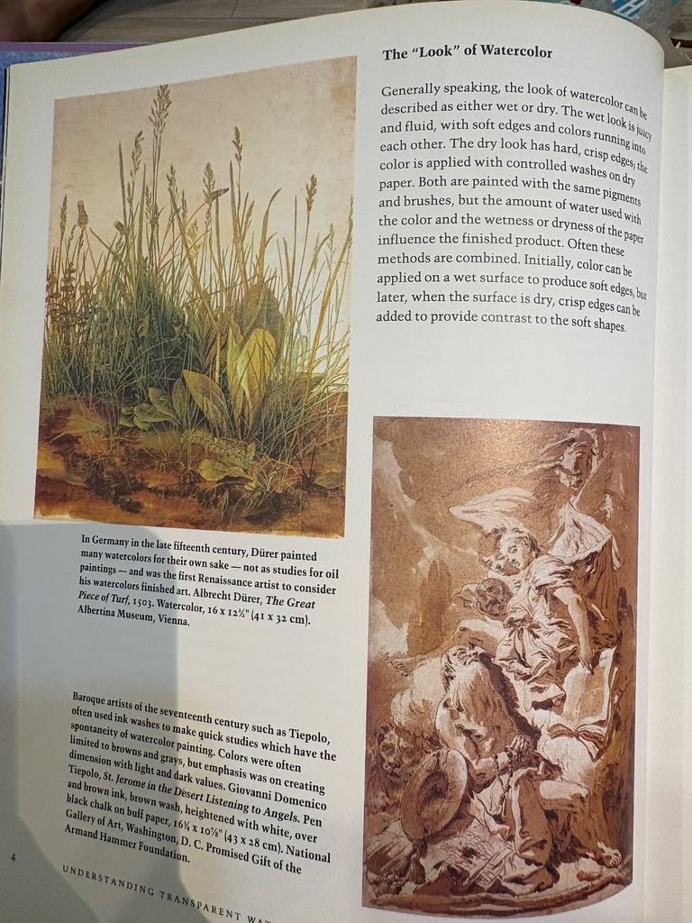  Understanding Transparent Watercolor - Gerald F. Brommer 