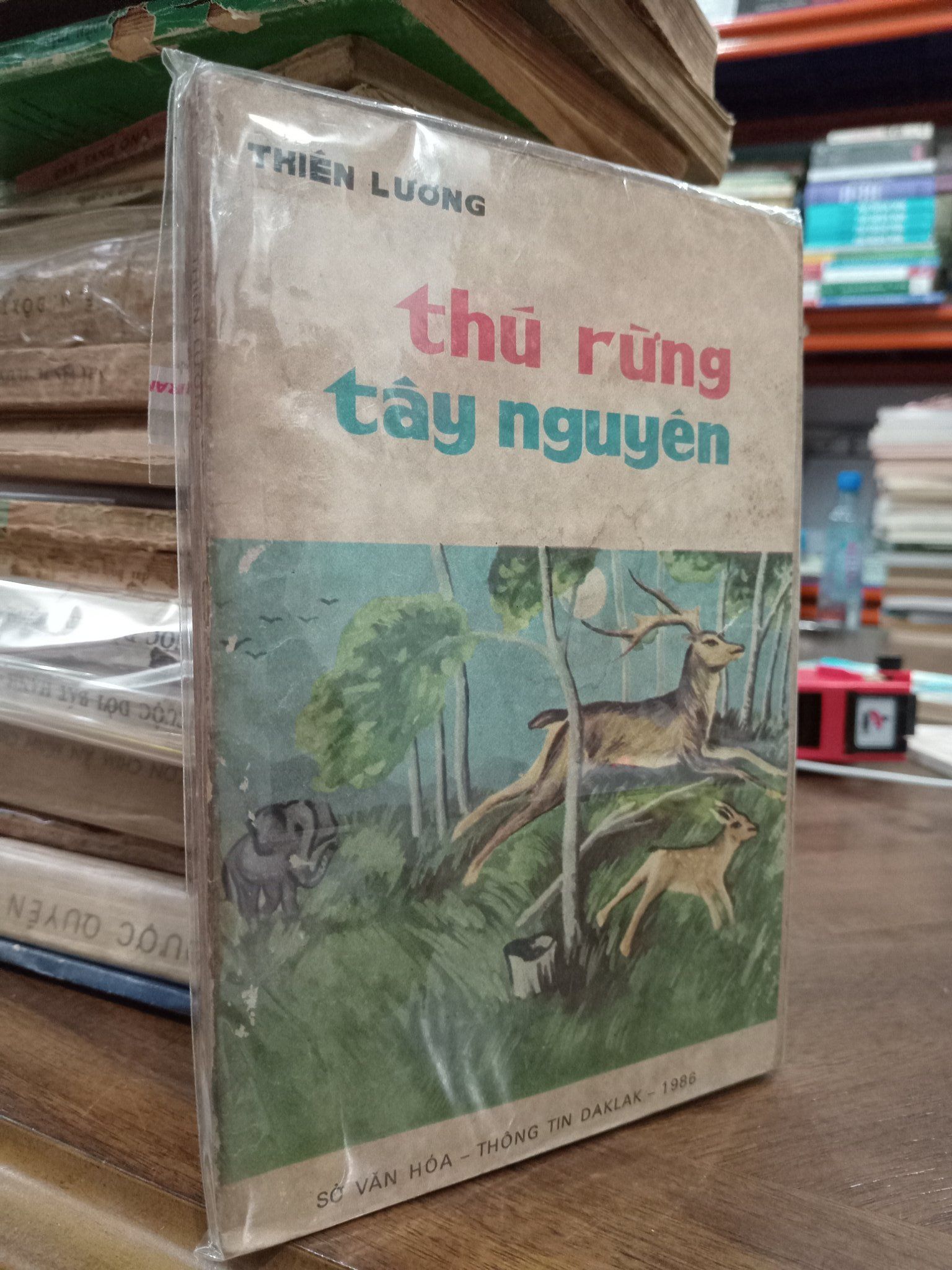  Thú rừng tây nguyên - Thiên Lương 
