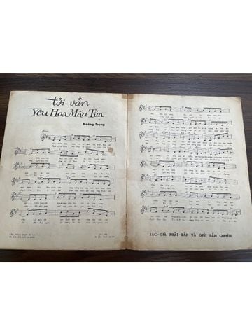  Tôi Vẫn Yêu Hoa Màu Tím - Hoàng Trọng 