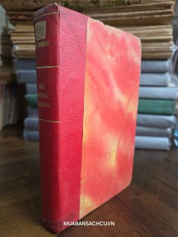  Sói đồng hoang - Hermann Hess 