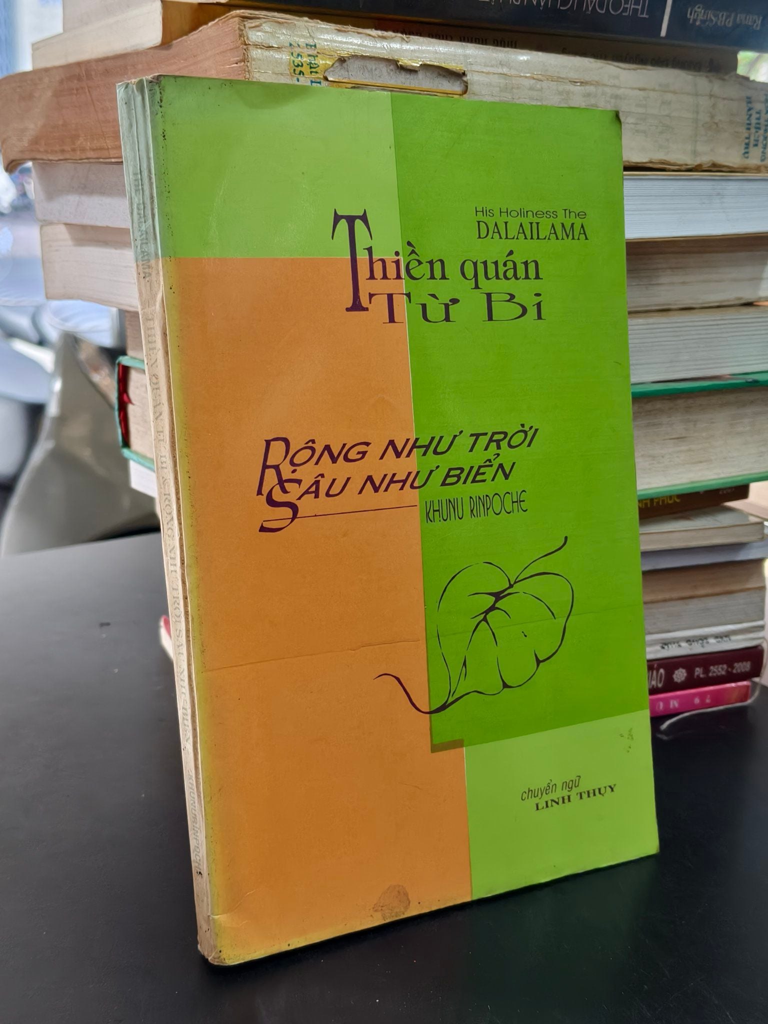  Thiền quán từ bi: rộng như trời, sâu như biển - Dalailama (sách kéo lụa) 