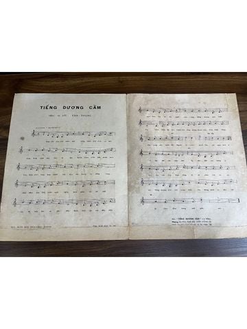  Tiếng Dương Cầm - Văn Phụng 