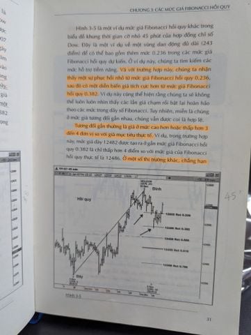 Fibonacci Trading - Carolyn Boroden