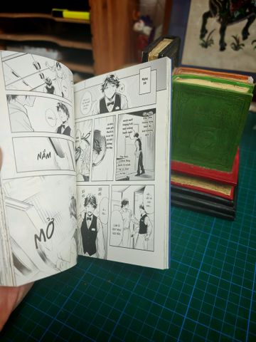  Truyện tranh Grapefruit Moon - Tomo Serizawa 