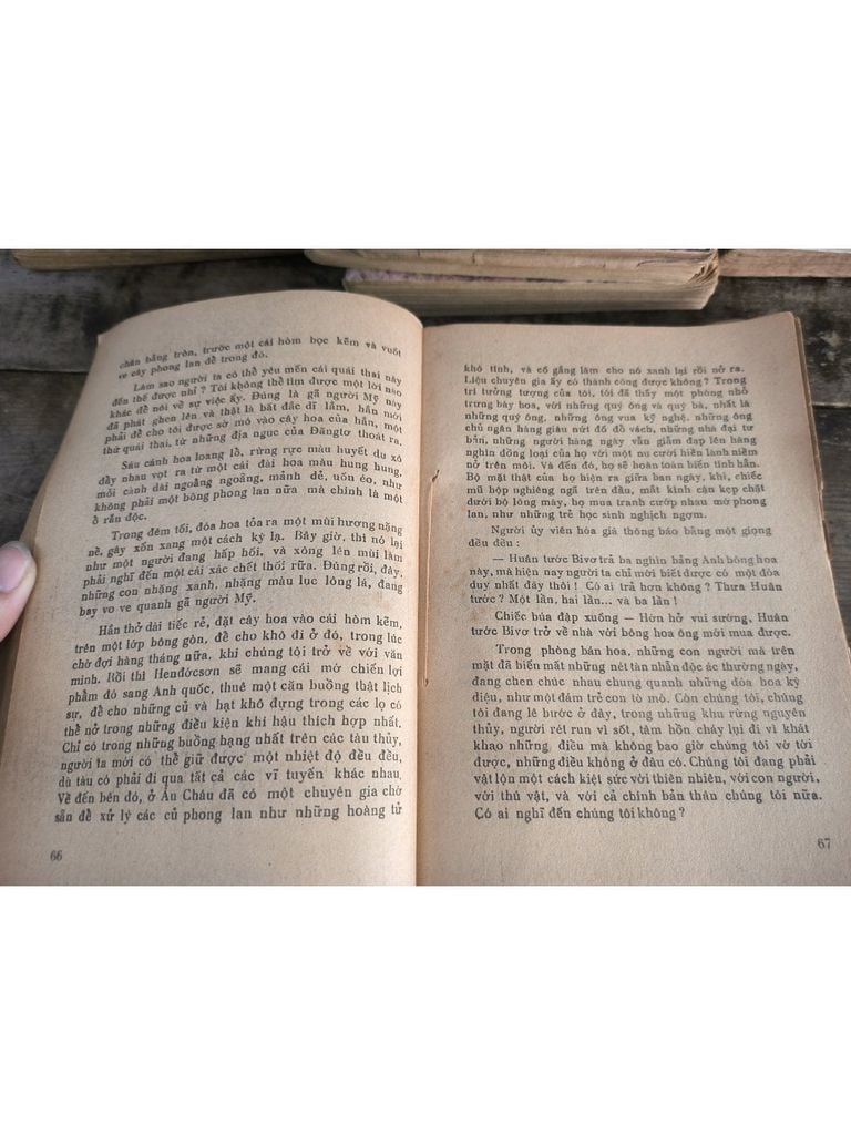  Những Người Săn Phong Lan - Knert Loherdorzt 